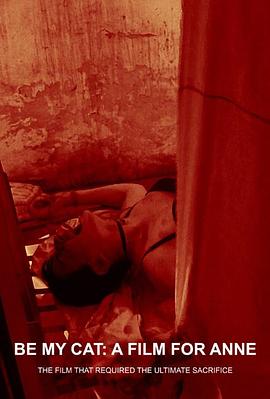 献给安妮的电影封面图