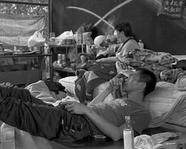 舊橋戀人封面图