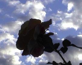 L’arrière-saison封面图