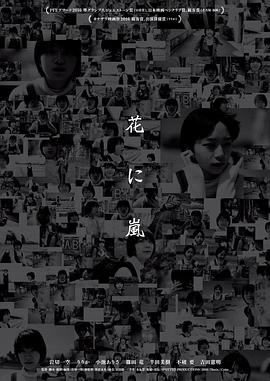 花经风雨封面图