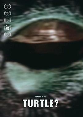 TURTLE?封面图