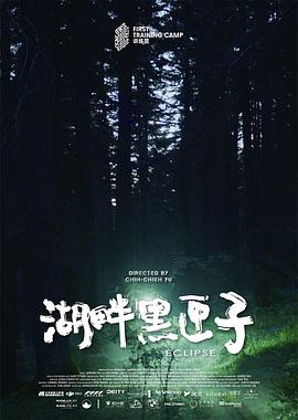 湖畔黑匣子封面图