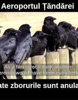 亲爱的知识分子们封面图