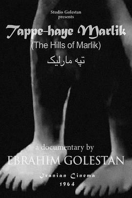 马尔利克山区的考古封面图