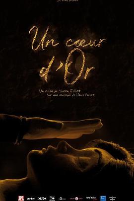 金子的心封面图