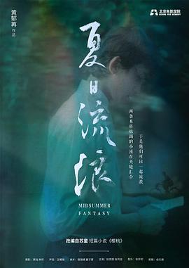 夏日流浪封面图