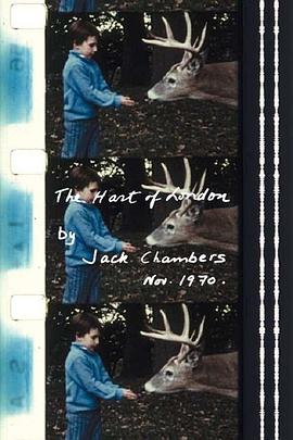 伦敦的鹿封面图