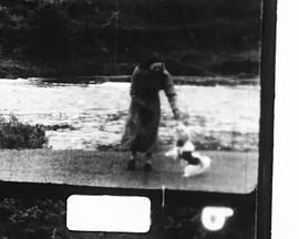 给罗杰的小狗封面图