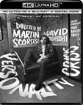 人格危机：仅此一夜封面图