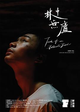 林中无庐封面图