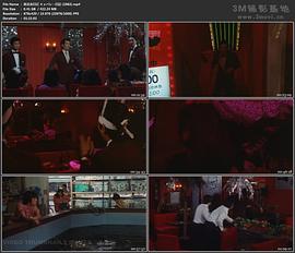 夜总会日记封面图