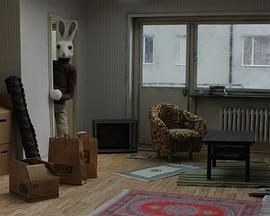 我们都叫陶德封面图