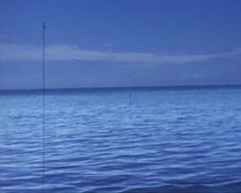 僕の失楽園封面图