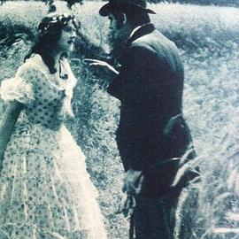 经过麦田封面图