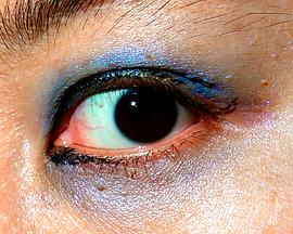 透明的我封面图