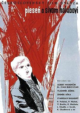 灰鸽子之歌封面图