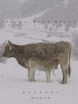看那儿有三只野鹿封面图