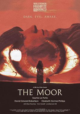 荒野之谜封面图