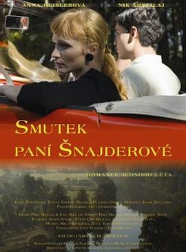 施耐德夫人的悲伤封面图