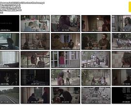 我很荣幸封面图