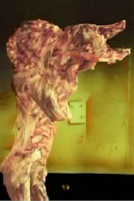 The Pig Walks封面图