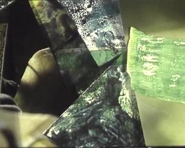 Im grünen Bereich封面图