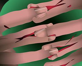 Purple Grey封面图