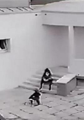 艺术部门封面图