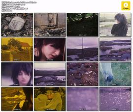 从黎明到黄昏封面图