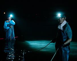 降河洄游封面图