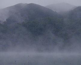 幽灵地层封面图