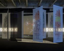 奥基达诺克/隐匿IV封面图