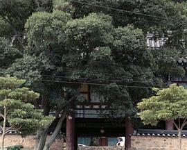 蓝色 女子 裙子封面图