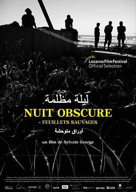 昏夜——野叶（燃烧之物，顽固之人）封面图