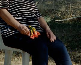 当时光流逝封面图