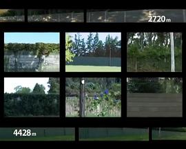 逃离的城市封面图