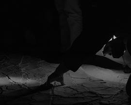 生命之滩封面图