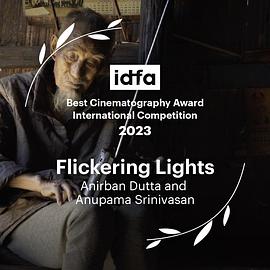 闪烁的灯光封面图