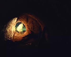 我要堕落了封面图