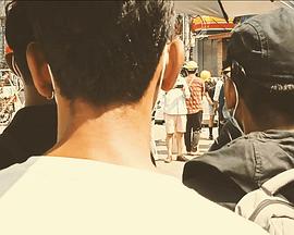 Journey of a Bird封面图