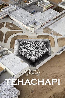 脸庞，高墙封面图