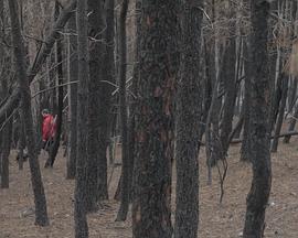 As Três Chamas封面图