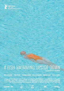 游仰泳的鱼封面图