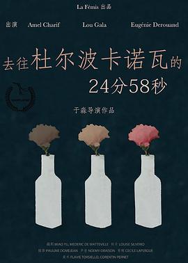 去往杜尔波卡诺瓦的24分58秒封面图