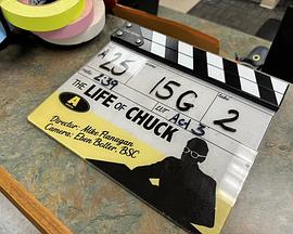 查克的一生封面图