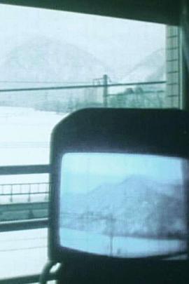 Distorted “Tele” Vision封面图