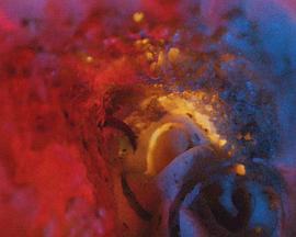 Louis et les langues封面图