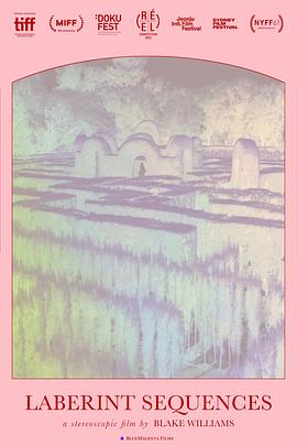 迷宫序列封面图