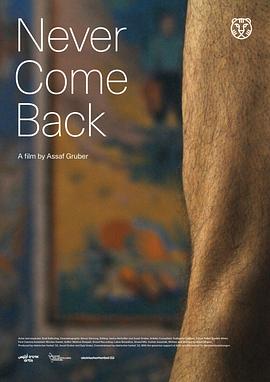 永远不要回来封面图