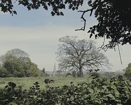 逝去时光封面图